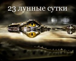 23 лунные сутки: полная характеристика — что можно и что нельзя делать?