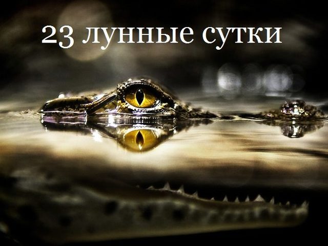 23 лунные сутки: полная характеристика — что можно и что нельзя делать?
