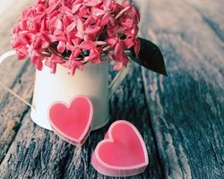 Приметы на любовь по дням недели: значение знакомства, признания в любви, предложения руки и сердца, организации союза
