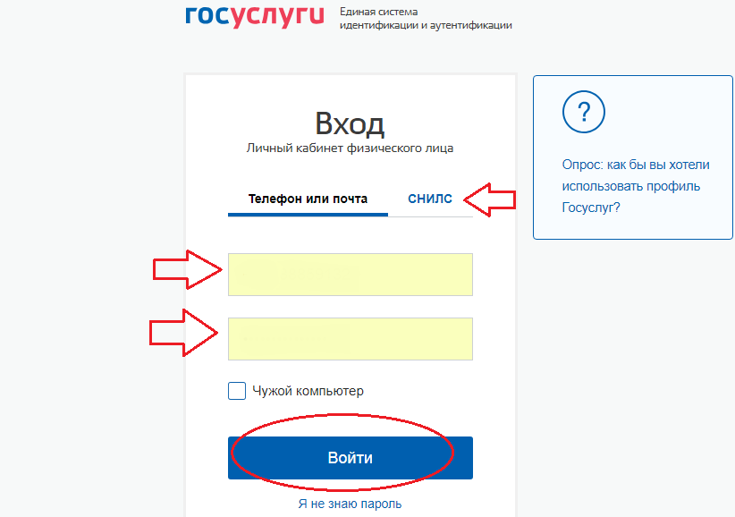 Вход через сайт госуслуги