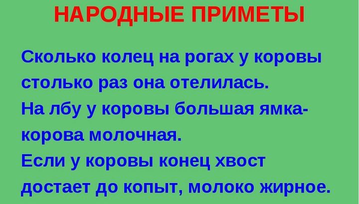 Народные приметы, связанные с коровами
