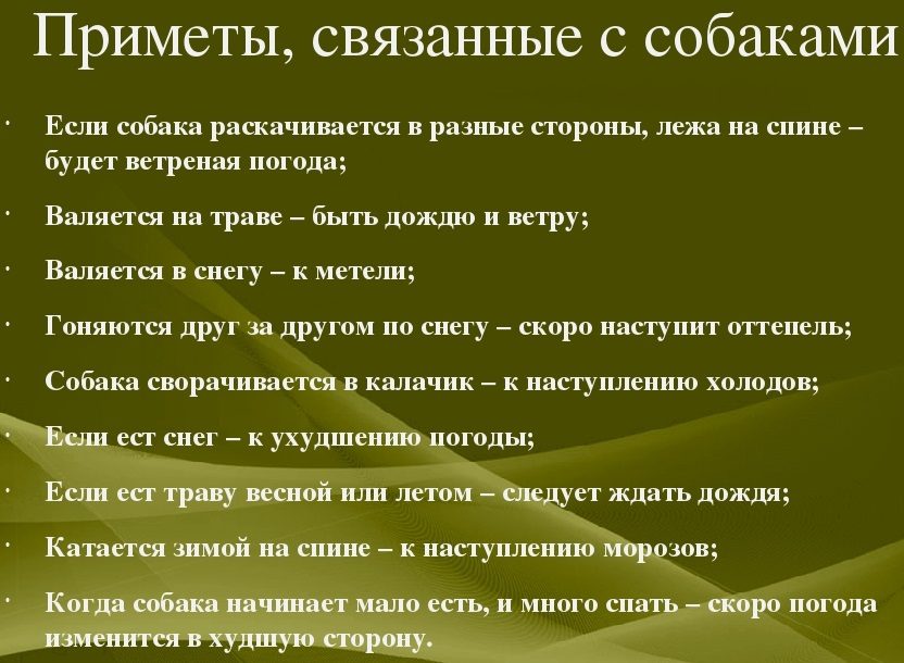 Народные приметы, связанные с собакой