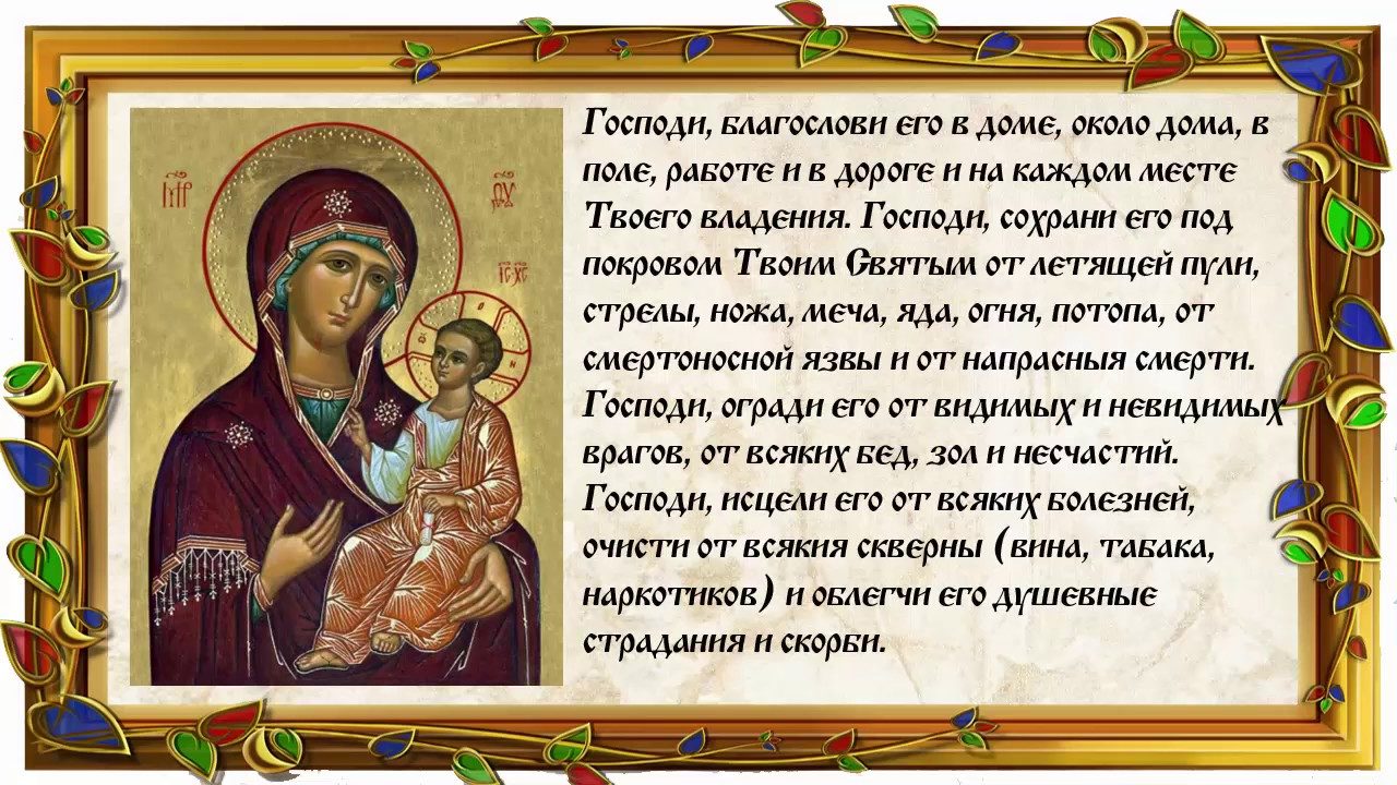 Текст