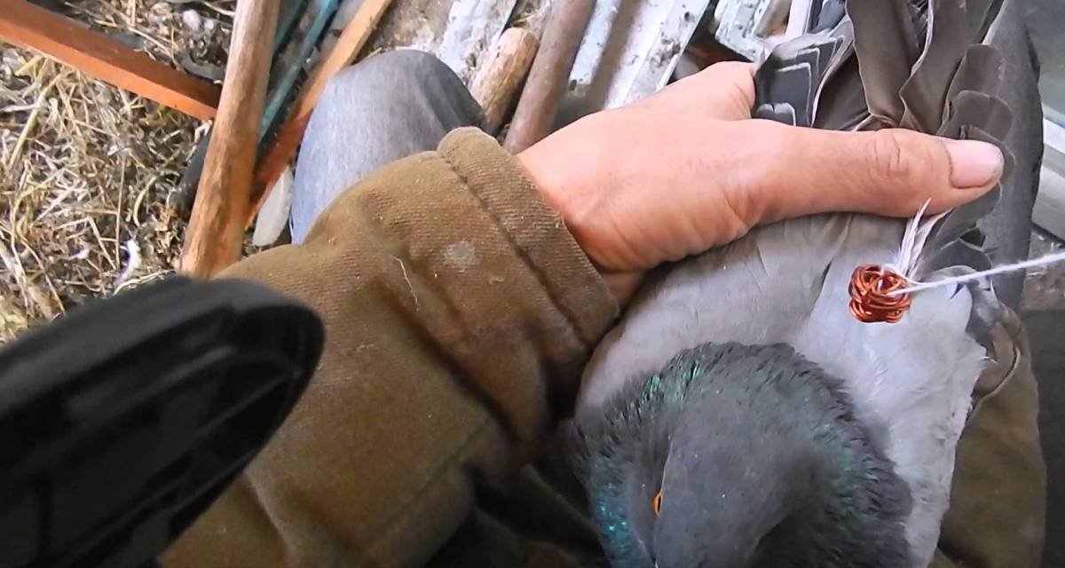 Народный способ