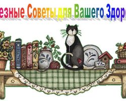 Полезные советы и народные рецепты для здоровья и красоты на каждый день: для кожи, волос, ногтей, желудка и поджелудочной железы, суставов, зрения, мозга — как сохранить молодость, избавиться от стресса и бессонницы?
