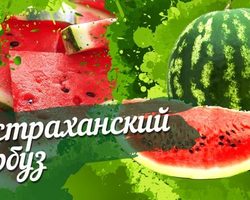 Астраханские арбузы — как отличить по внешнему виду: признаки