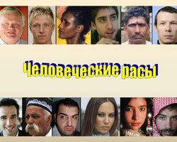 Расы и их происхождение: европеоидная, негроидная, монголоидная, австралоидная, американоидная — характеристика и описание внешности каждой расы