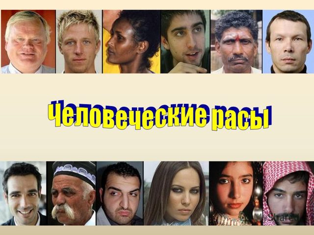 Расы и их происхождение: европеоидная, негроидная, монголоидная, австралоидная, американоидная — характеристика и описание внешности каждой расы
