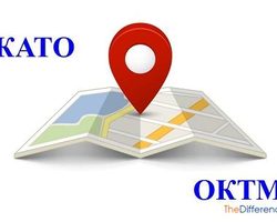 Что такое ОКТМО в реквизитах и где его взять?