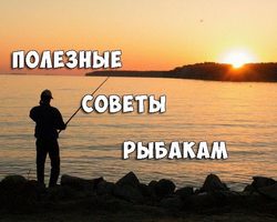 Советы для зимней, летней, карповой рыбалки от бывалых рыбаков: топ-25 советов