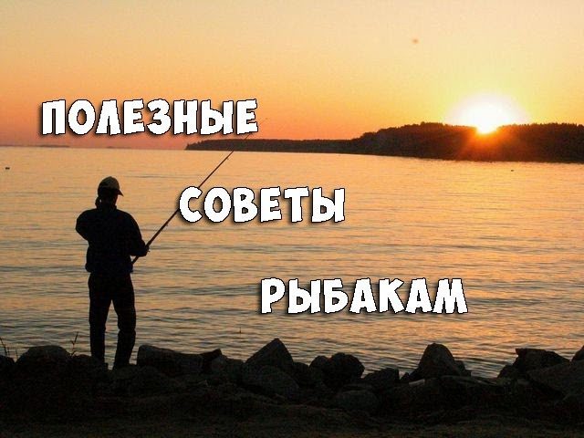 Советы для зимней, летней, карповой рыбалки от бывалых рыбаков: топ-25 советов