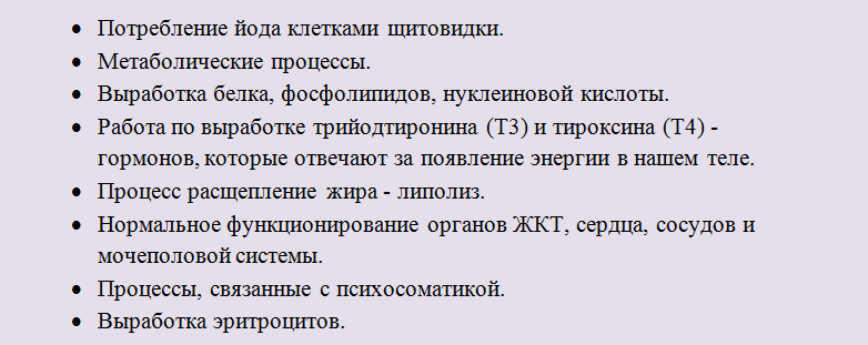 Функциональные процессы человека, за которые отвечает тиреотропное секреторное вещество