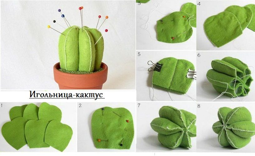 Комнатный кактус