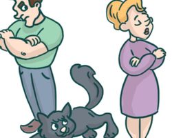 Что такое фразеологизмы — характеристика: особенности. Какие бывают фразеологизмы: примеры с объяснением