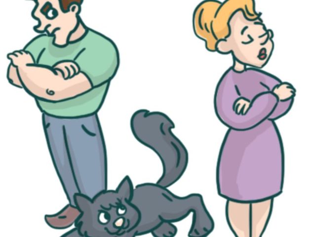Что такое фразеологизмы — характеристика: особенности. Какие бывают фразеологизмы: примеры с объяснением