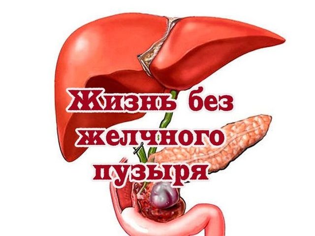 Жизнь после удаления желчного пузыря: важные советы, плюсы и минусы, диета, запрещенные и разрешенные продукты