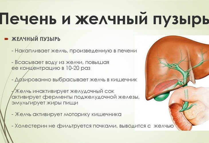 Функции