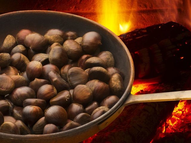 Каштаны съедобные и несъедобные — как отличить плоды