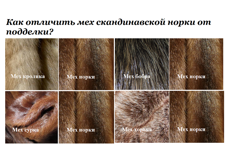 Сравнение скандинавской норки