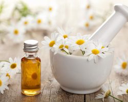 Что такое масло ромашки для волос и как его использовать? Какие полезные свойства есть у масла ромашки и как его применять? 