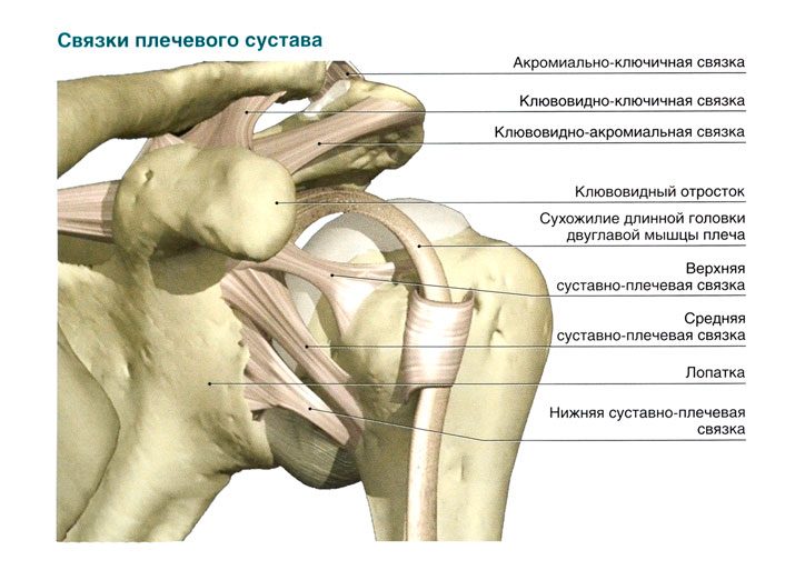 Связки