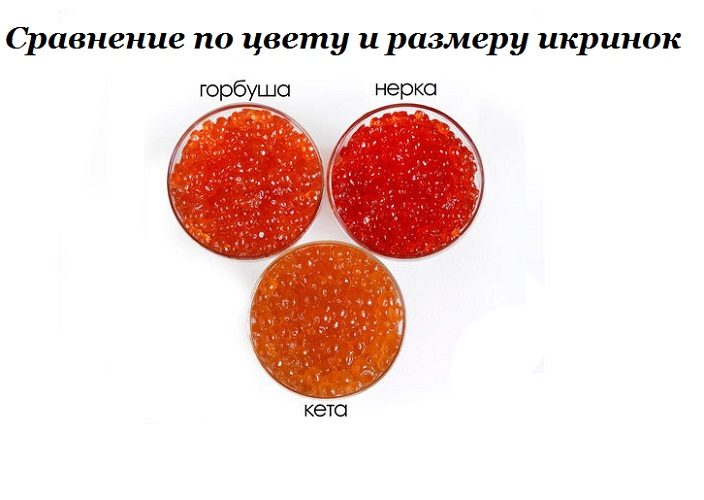 Сравнение