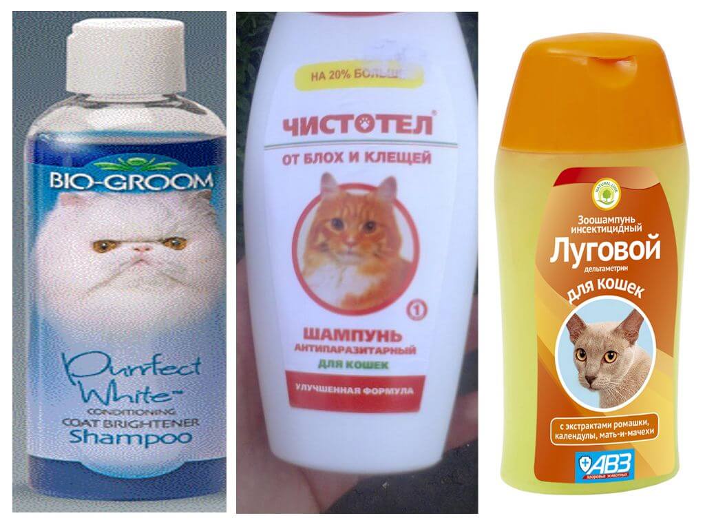Шампуни для кота
