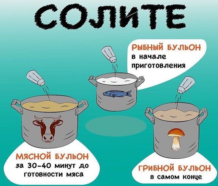 Правила соления разных видов бульонов