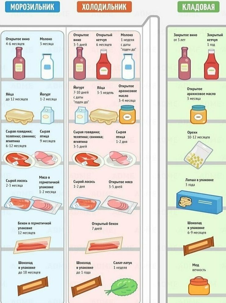 Место и сроки хранения для разных продуктов