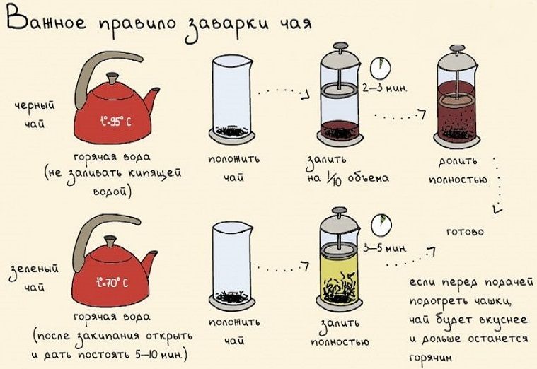 Важное правило заварки черного и зеленого чая