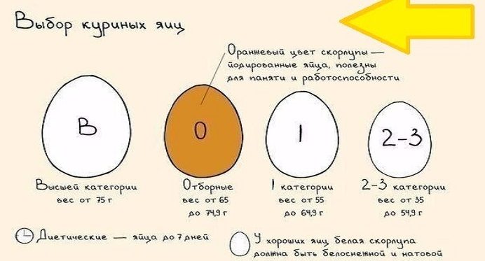 Категории куриных яиц