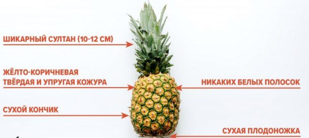 На что обращать внимание