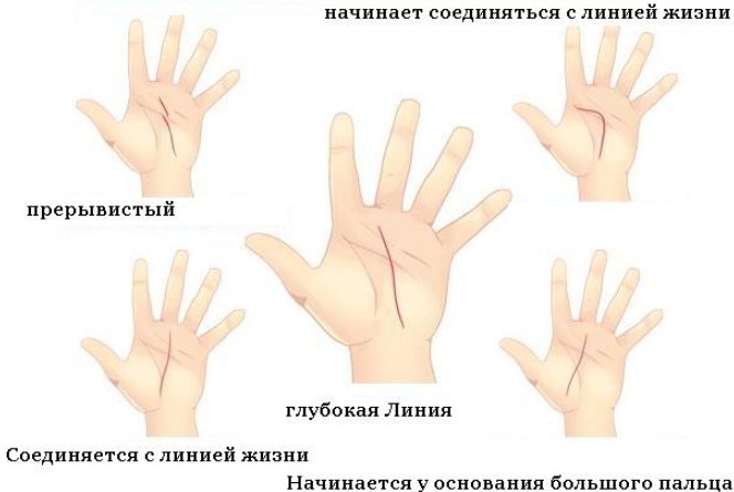 Разнообразие