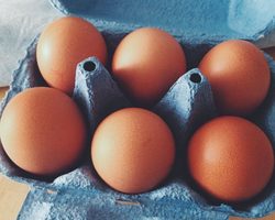 Как отличить сырое яйцо от вареного: 5 простых и доступных способов