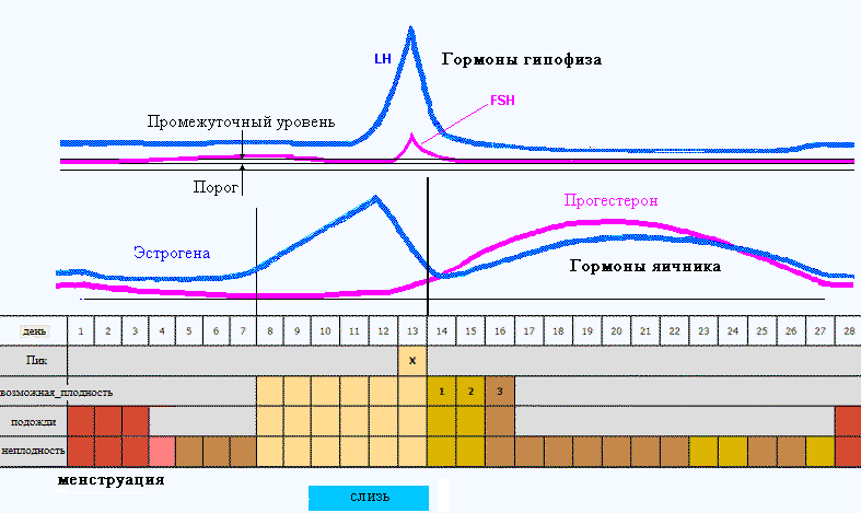 Метод биллингса