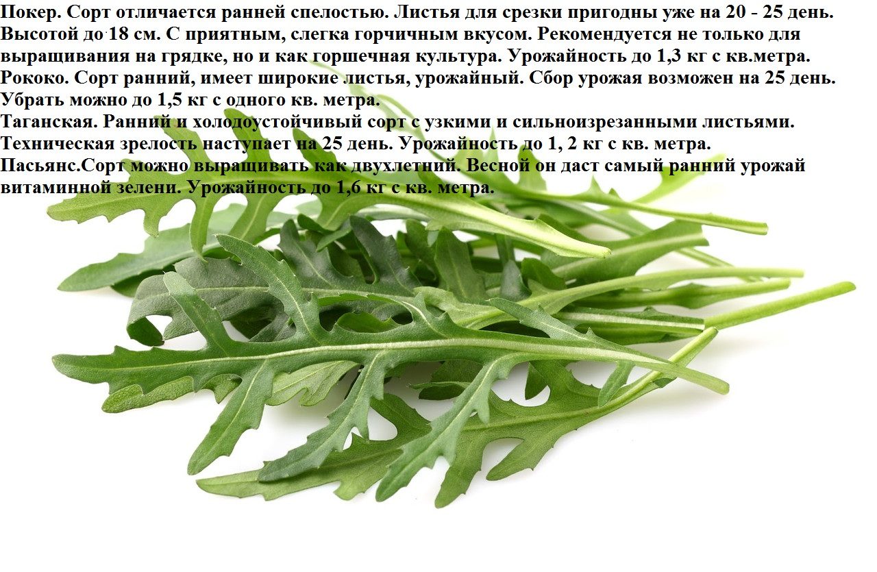 Сорта