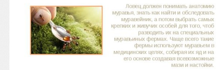 Полезная профессия