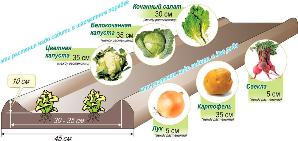 Расположение