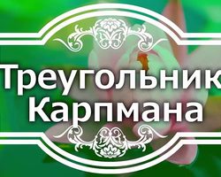Треугольник Карпмана: что это? Каковы роли, цели и поведение участников, как не попасть в треугольник Карпмана, как выйти из роли Жертвы, Преследователя, Спасителя: советы. Примеры треугольника Карпмана из жизни