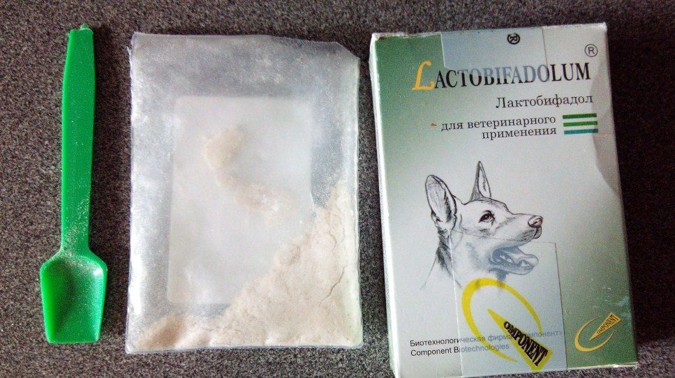 Порошок