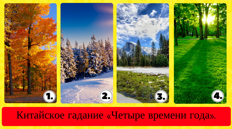 Трактовка