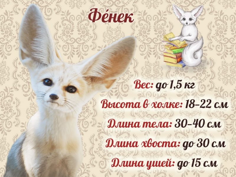 Кратко