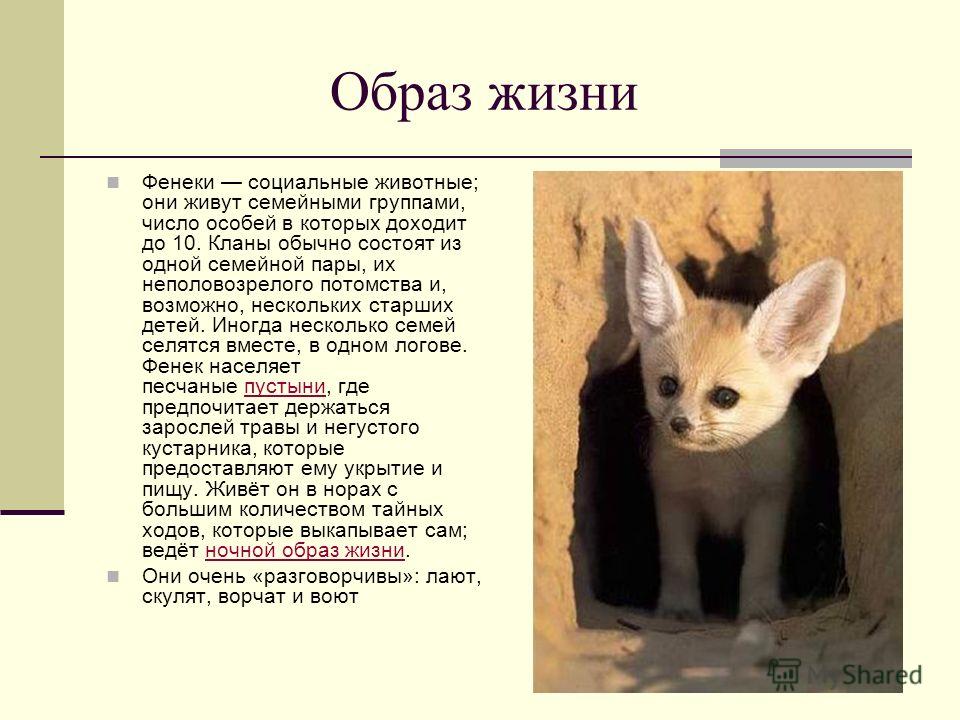 Достоинства и недостатки