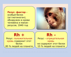 Люди с отрицательным резус-фактором — потомки Богов или инопланетная раса: теория, особенности