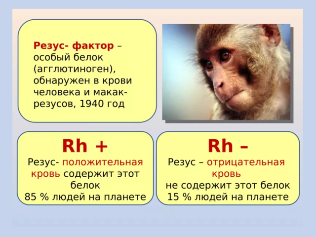 Люди с отрицательным резус-фактором — потомки Богов или инопланетная раса: теория, особенности