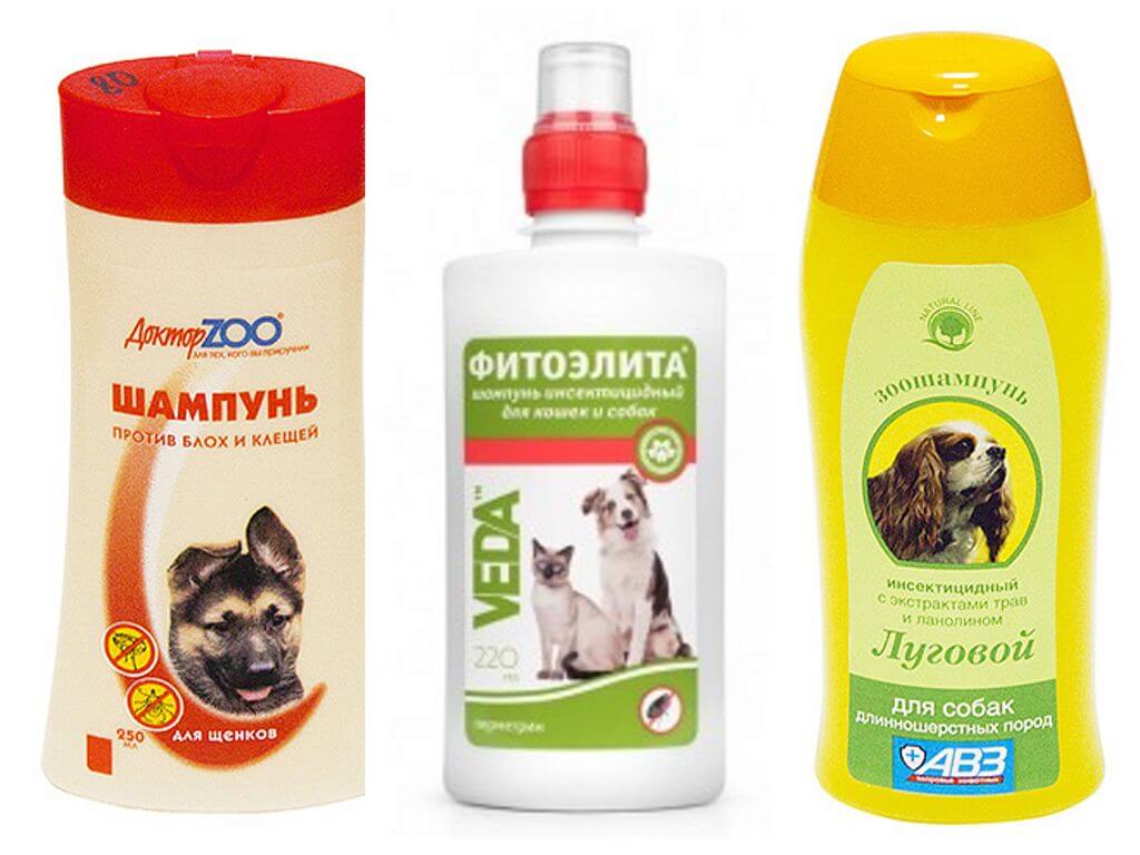 От блох
