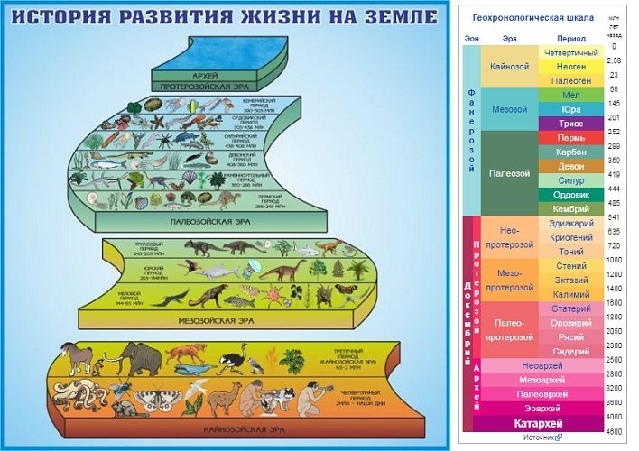 Шкала