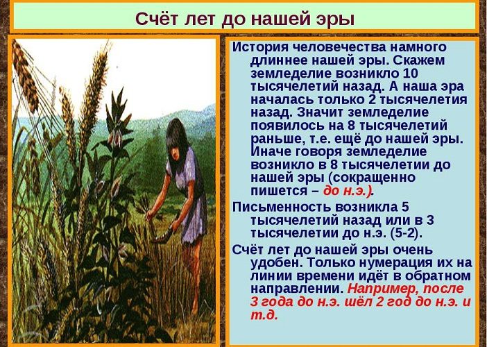 Счет