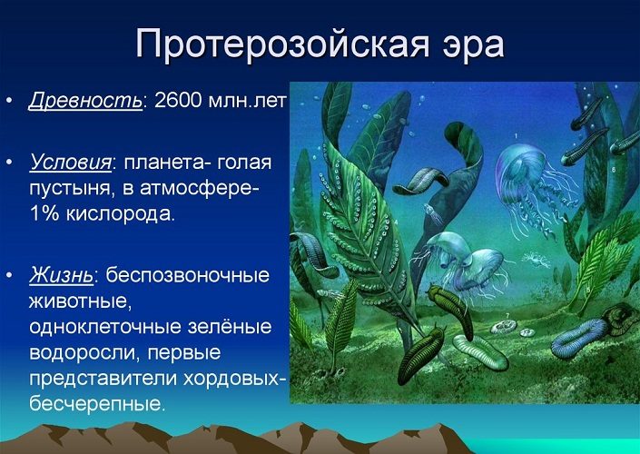 Характеристика