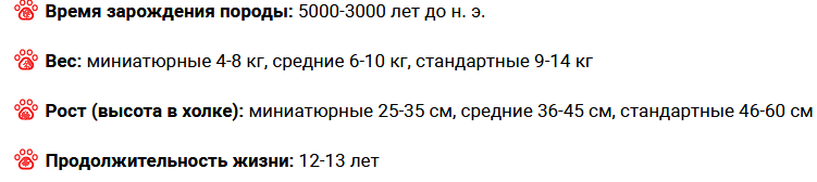 Размеры ксолоитцкуинтли